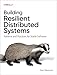 Building Resilient Distributed Systems: Patterns and Practices for Stable Software
